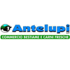 ANTELUPI S.R.L. – supplier logo, supplier contact card