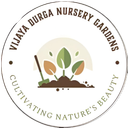 Vijaya Durga Nursery Gardens