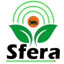 SFERA