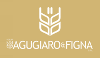 AGUGIARO & FIGNA MOLINI S.P.A. – supplier logo, supplier contact card