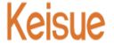 Shenzhen Keisue Technology Co., Ltd.