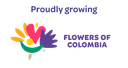 CI FLORES CARMEL SAS – supplier logo, supplier contact card