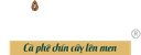 Công Ty TNHH Nosavi – supplier logo, supplier contact card