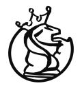 SHANGHAI LION KING FLASK CO., LTD.