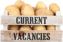 BENNETT POTATOES LTD – supplier logo, supplier contact card