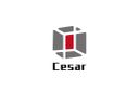 Shanghai Cesar Industrial Co., Ltd