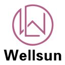 Shenzhen Wellsun Wood & Metal Products Co., LTD