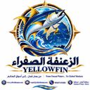 Yellow Fin