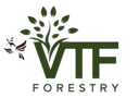 Vision 2050 FBR Timber