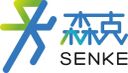 Shanghai Senke Electronic Technology Co., Ltd.