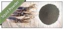 AKASH FISHMEAL & FISHOIL PRIVATE LIMITED – supplier logo, supplier contact card