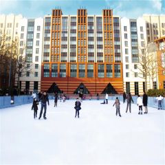High Quality Hockey Synthetic Ice Rinks Mobile Ice Skating Rink - Image 2