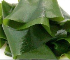 Dried wakame seaweed Grade ABC Form Solid Style Dried Variety NORI Packaging Bag Address Dalian Color Dark green Ingredients - Image 2