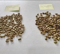 Arabic coffee - Image 1