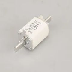 Ceramic Thermal Fuse Type 50nhg00b Copper Fuse HRC 50A 500V Model NO. NH Shape Insert Trademark LOUP Origin Zhejiang Fusing Speed FF - Wenzhou Homor International Trade Co., Ltd.