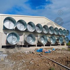 China Made Customizable Broiler Flat Rearing Equipment Offers Reliable Quality Competitive Price and Smart Farming Features for Large-Scale Poultry Farm Plant - Image 5