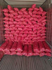 Red onion – product photo 3, product detail gallery