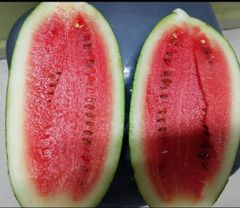 Fresh Fruits and Vegetables Supply Type Continuous Traceability Farm To Shelf Availability Organic And Regular Sourcing Model Direct From Farmer Producer - Image 2