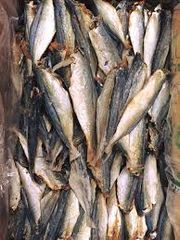 Dried fish / Dried steamed round scad - Image 4