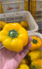 California Pepper - Image 3