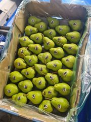 FRESH WILLIAM BON CHRETIEN PEARS FOR SALE!! CLASS 1 EXPORT QUALITY WILLIAM BON CHRETIEN PEARS FOR EXPORT – product photo 2, product detail gallery
