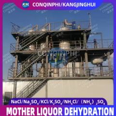 Forced Circulation Triple-Effect Evaporation Freeze Crystallization Equipment - Image 5