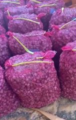 Fresh Red Onion - Image 4