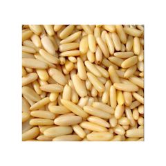 Organic cheap bulk open pine nut/pine seed/pine nuts in shell - Image 2