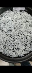 Premium 1718 Basmati Rice | 8.35mm Extra Long Grain | 100% Sortex Cleaned Double Silky Polish | Moisture Under 12.5% Max - Image 6