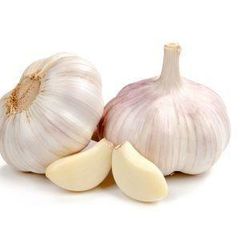 Fresh Garlic - Image 3