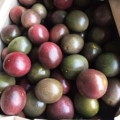 VietNam Passion Fruit for Exportation / Fresh Purple skin Passion Fruit – product photo 6, product detail gallery