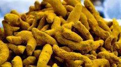 Turmeric (Curcuma Longa) - Premium Quality – product photo 1, product detail gallery