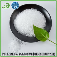 Shangdong Yongzheng Eco-Tech Co.,Ltd