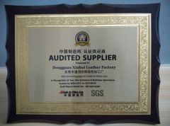 SGS Certificate certificate from Dongguan Xinhui Suitcase And Bag Fittings Co., Ltd.
