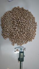 chickpeas or kabuli chana - Image 2