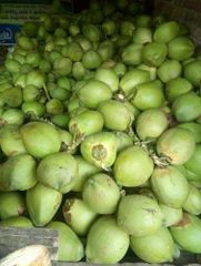 Green coconut – product photo 3, product detail gallery
