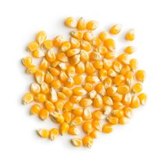 Mature Fresh Yellow Corn Cob Non Glutinous Natural Maize - Image 2