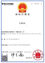 DAXI XIYIN certificate from Zhejiang Lingsheng Technology Co., Ltd