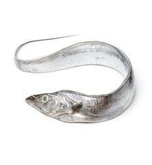 Frozen Ribbonfish (Whole / Hairtail) exported from India, - Image 2