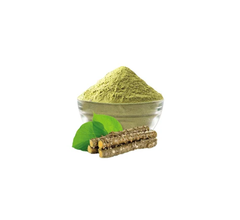 Giloy Extract (Tinospora cordifolia) - Image 2