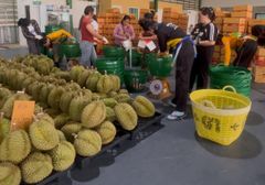 Fresh Durian - Image 1