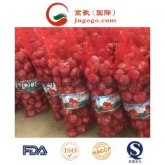 New Crop Export Good Quality Chinese Red Onion Color Red Shape Oval Type Whole Trademark GOGO Size 3.0cm and up HS Code - Image 4