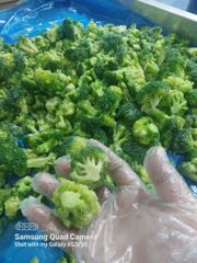 Broccoli - Image 2
