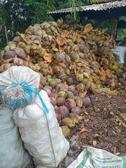 Coconut Husk - Image 1