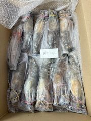 Scampi Prawns Origin India Quality Grade 1st Minimum Order 5000 Kg Minimum Order Quantity 5000 Kg Packaging IWP 10 Kg Carton, Iwp 10 Kg Carton - Image 4