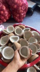 Dried Coconut Copra - Image 2