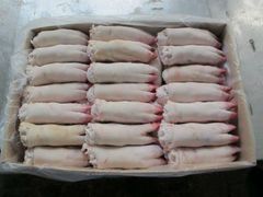 Frozen Pork
