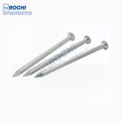 Quick-Fire Common Nail for Nailing Guns with Collated Design ODM/OEM Yes Origin China Material Iron Trademark Rochi HS Code 73170000 - Image 1