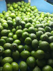 Fresh Hass Avocado - Image 3