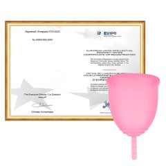 European patent certificate from Shaanxi Xinrui International Trade Co., Ltd.